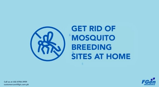 Featured image for “Get Rid of Mosquito Breeding Sites at Home!”